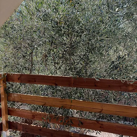 Appartement Au Coeur De