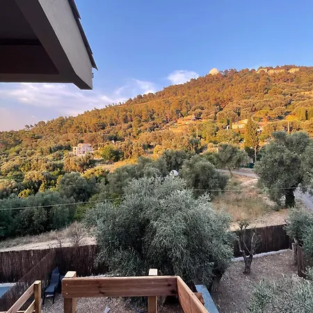 Au Coeur De * نيس